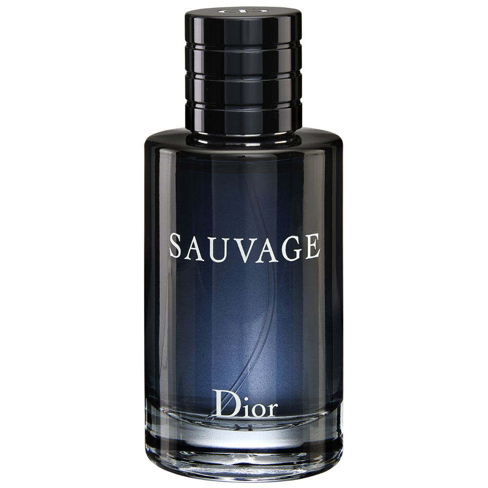 Dior Sauvage Eau De Toilette 100ml – Justmylook